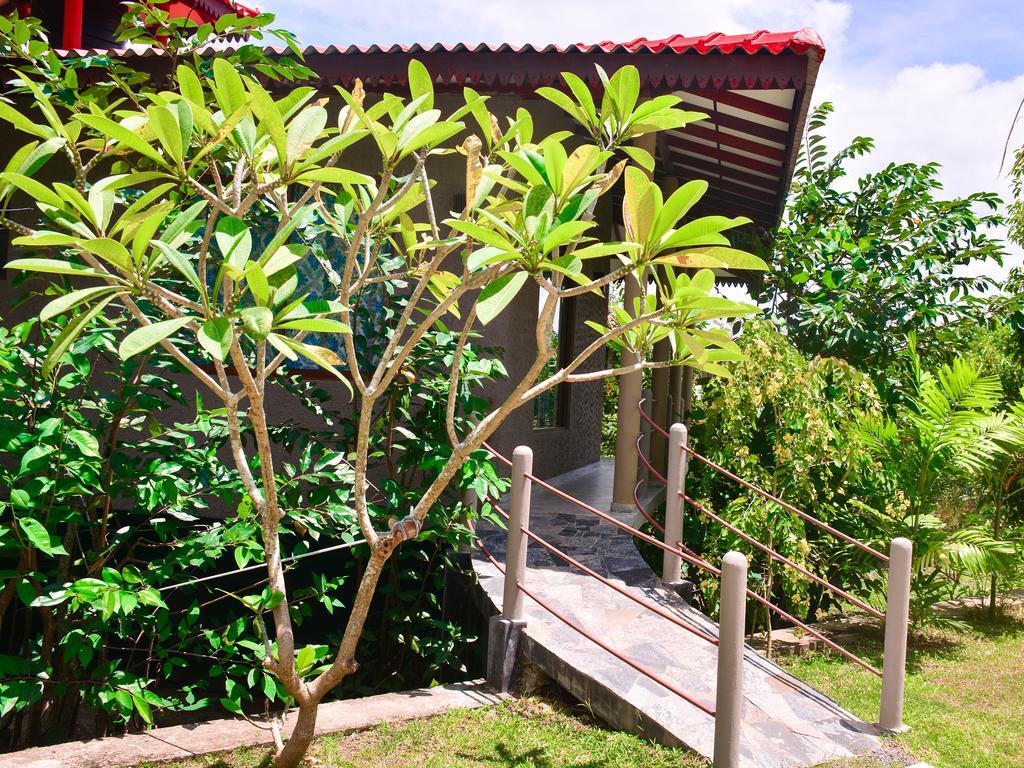 Mass Eco Cabana Yoga&Spa Bed and Breakfast Unawatuna Exterior foto